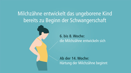 schwangerschaft_milchzaehne-001