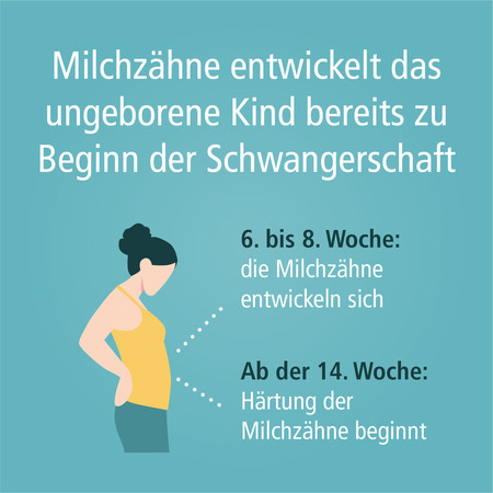 schwangerschaft_milchzaehne-quad-001