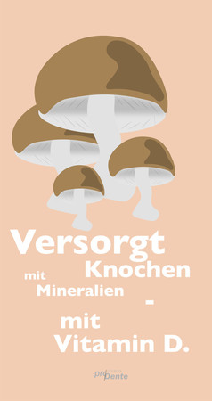 illustration-champignon-hoch
